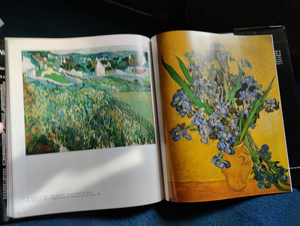 Vincent van Gogh. Album o malarstwie