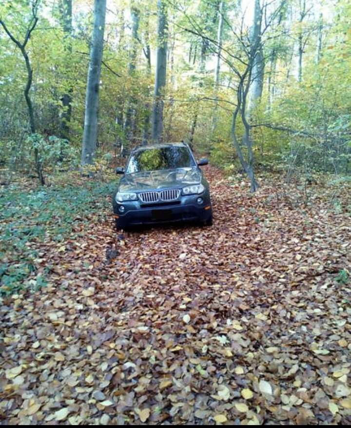 X3 e83 sport motor