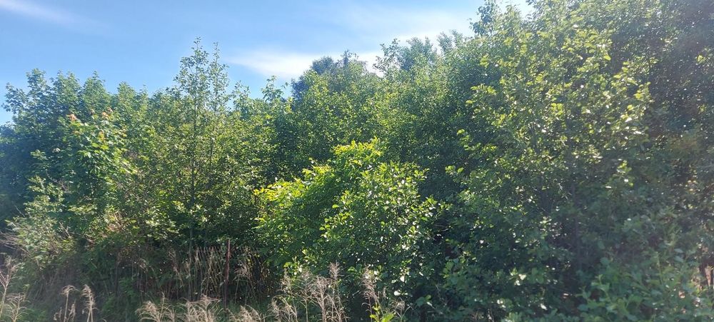 Dom jednorodzinny w budowie w Chudowie