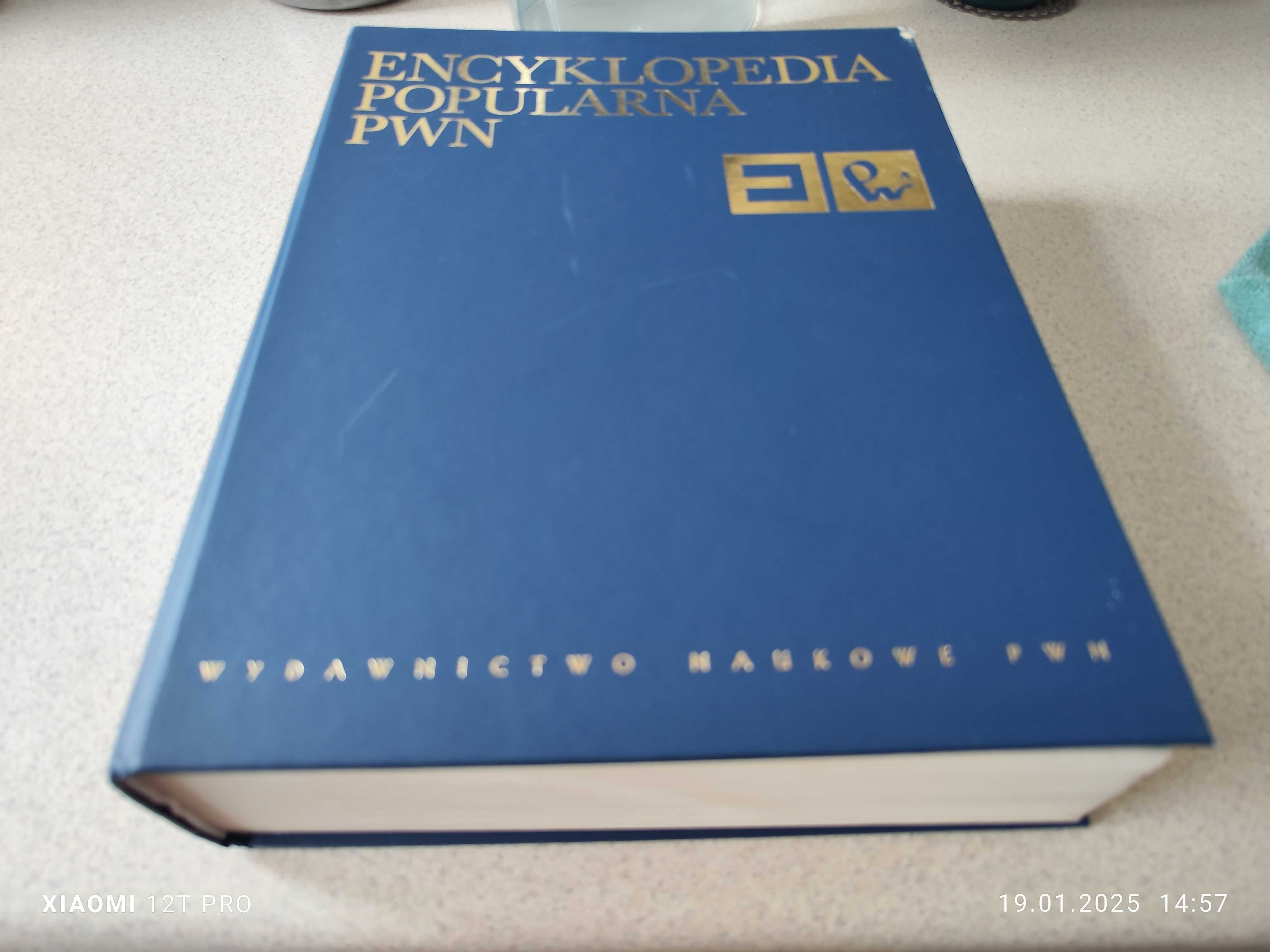 Encyklopedia pwn