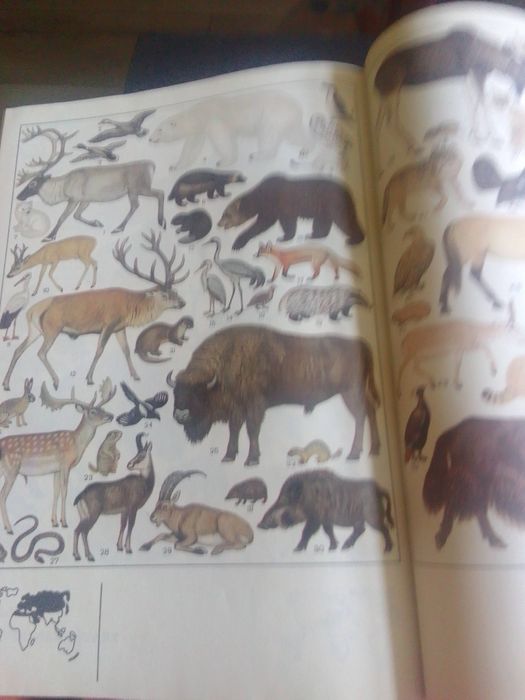 Biologia, klasa 3 L.O.A. Jasiński i inni