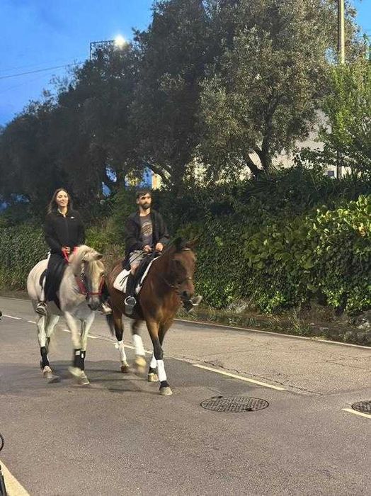 Egua branca bem montada