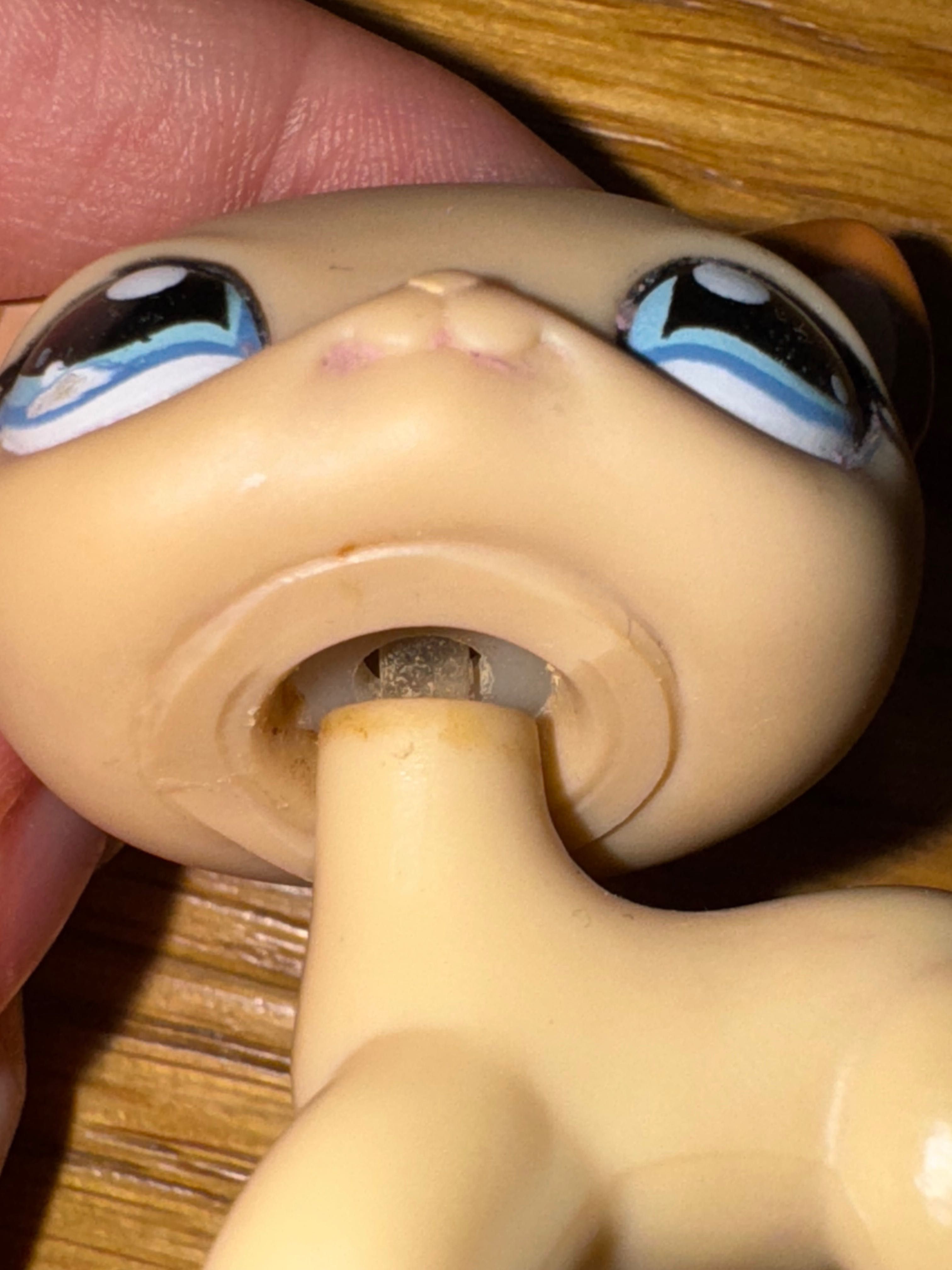 lps shorthair 1024 littlest pet shop