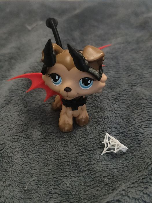 Zestaw akcesoriów halloweenowych dla collie lps