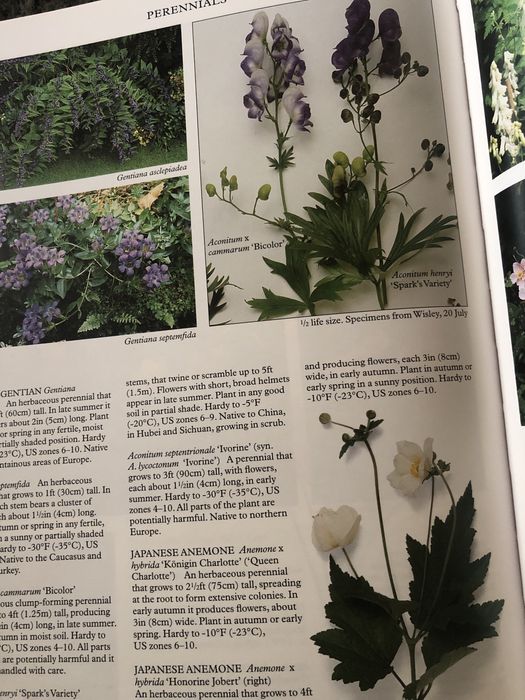 Livro de consulta “Perfect Plants”, Random House