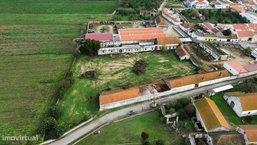 2 lotes de terreno em Alpiarça