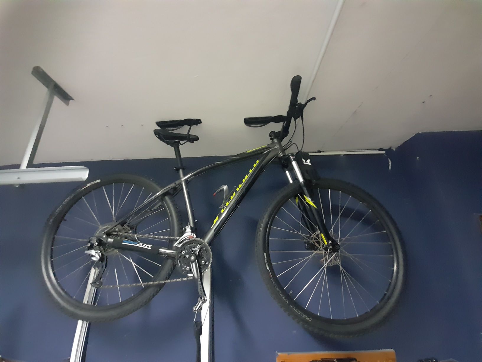 Specialized Rockhopper 29