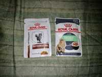 Продам 11 пачек кошачего Royal Canin