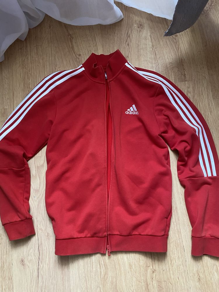 кофта adidas