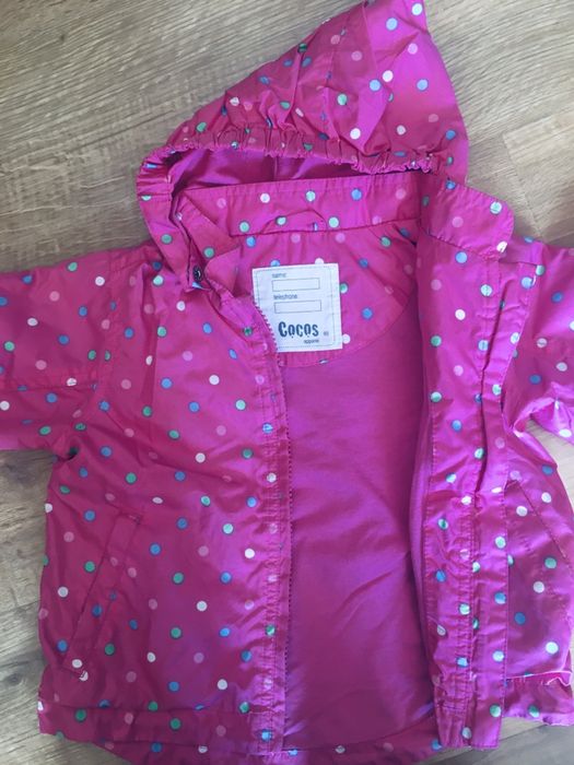 Kurteczka wiosenna r. 80