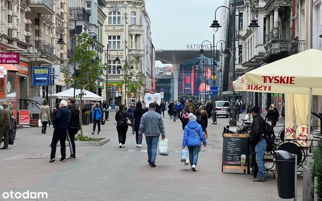 Lokal handlowy z witrynami 45m Katowice centrum