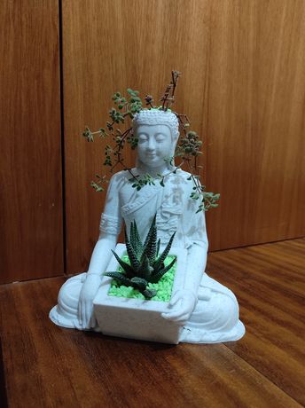 Budha com dois vasos para suculentas