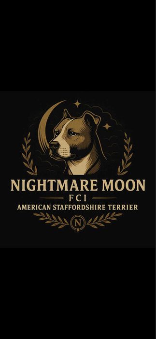 AMSTAFF American Staffordshire Terrier