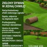 Trawa z Rolki już w Wałbrzychu