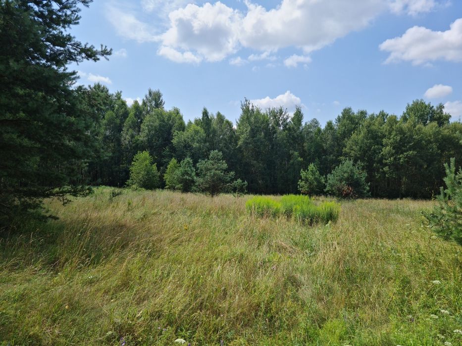 Ziemia torfowa, rolna na sprzedaż 1,5 ha w Kuchmach, gm. Michałowo.