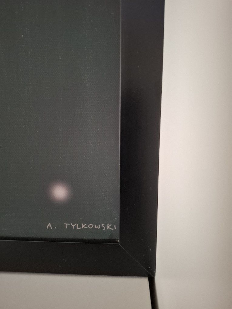 Obraz ,wydruk na płótnie – mężczyźni są z Marsa, a kobiety