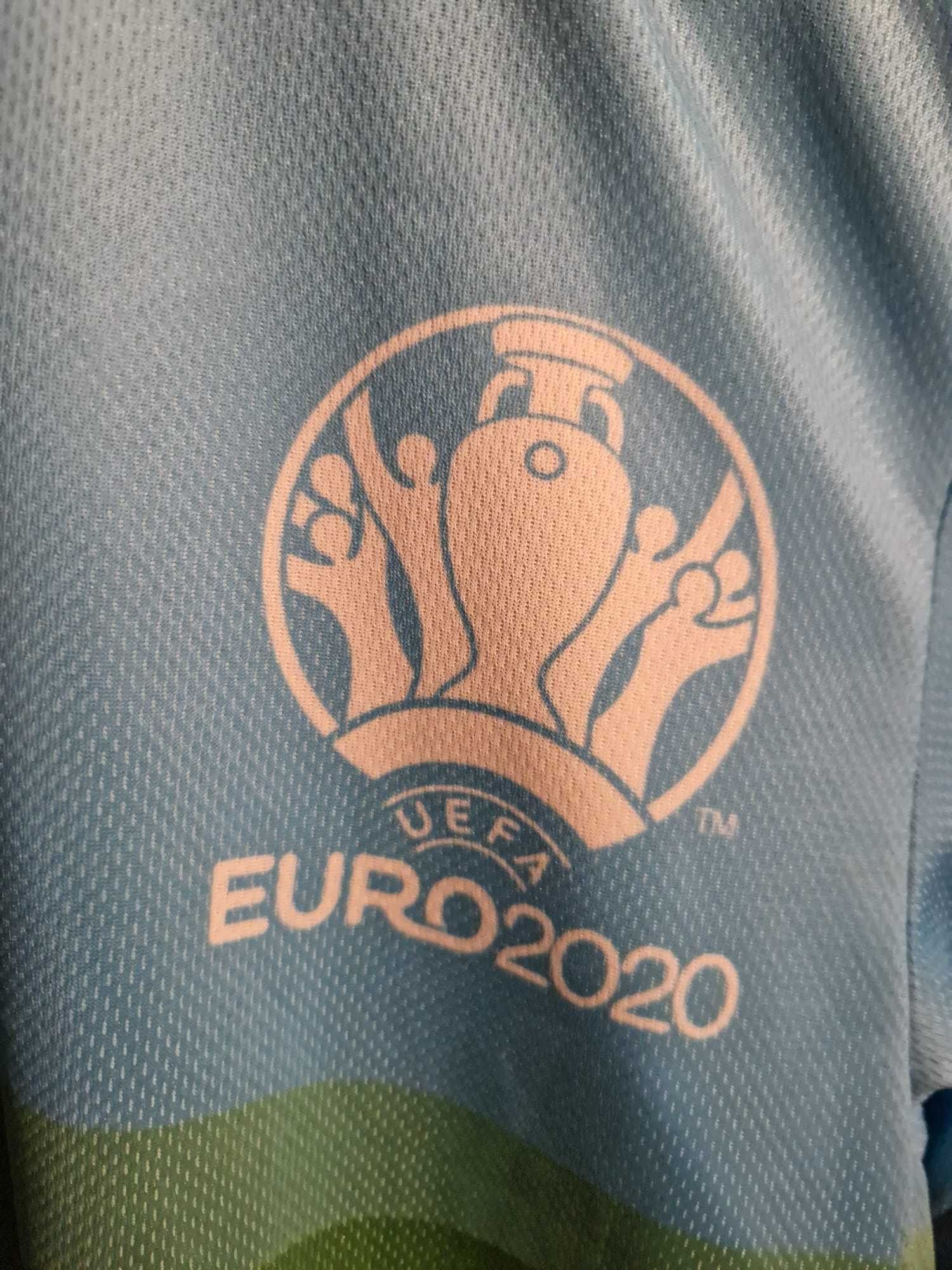 camisola heineken futebol L Euro 2020/2021 verde e azul