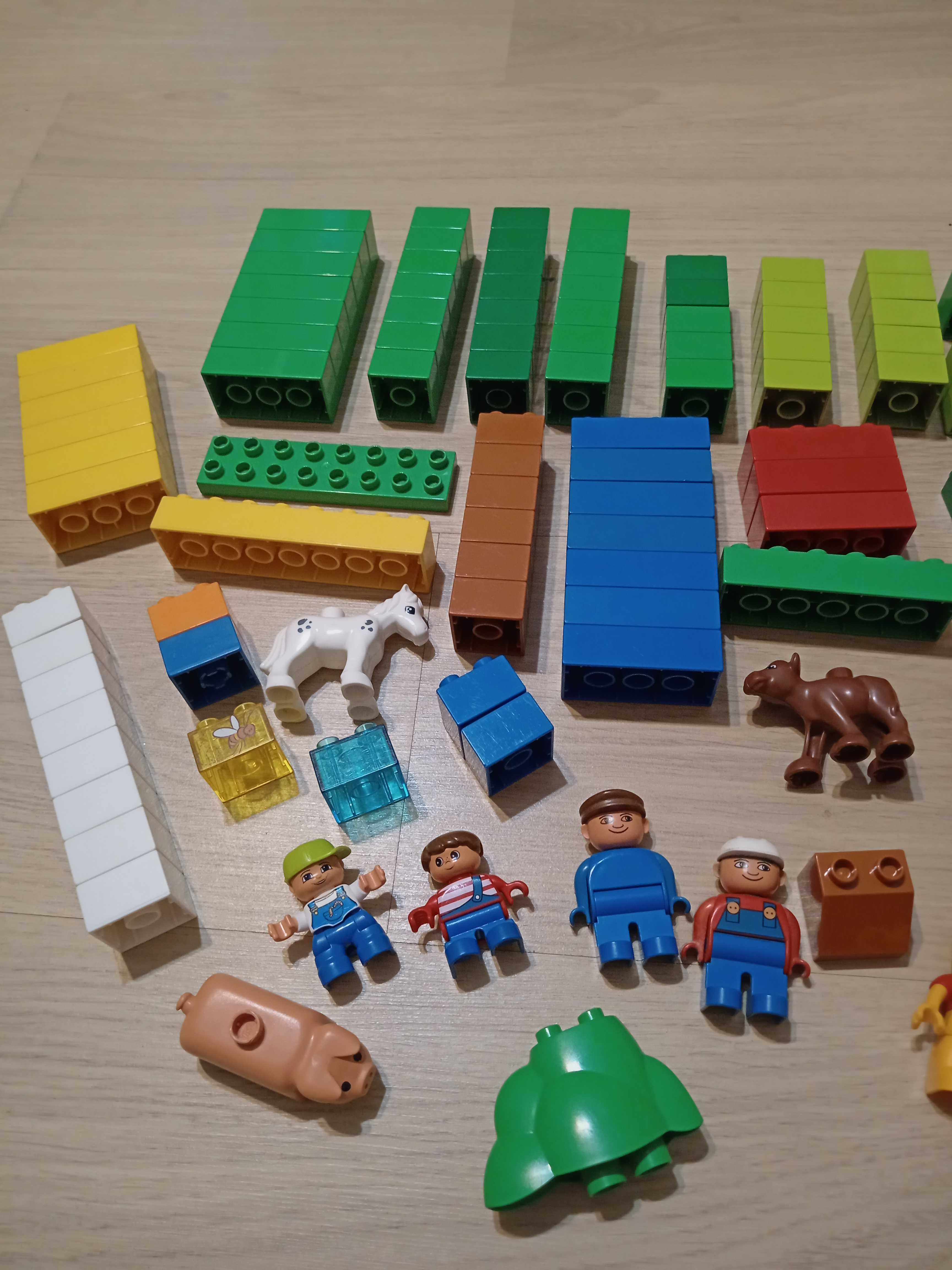 Duży zestaw klocków Lego Duplo Zoo, Arctis  + dodatkowe