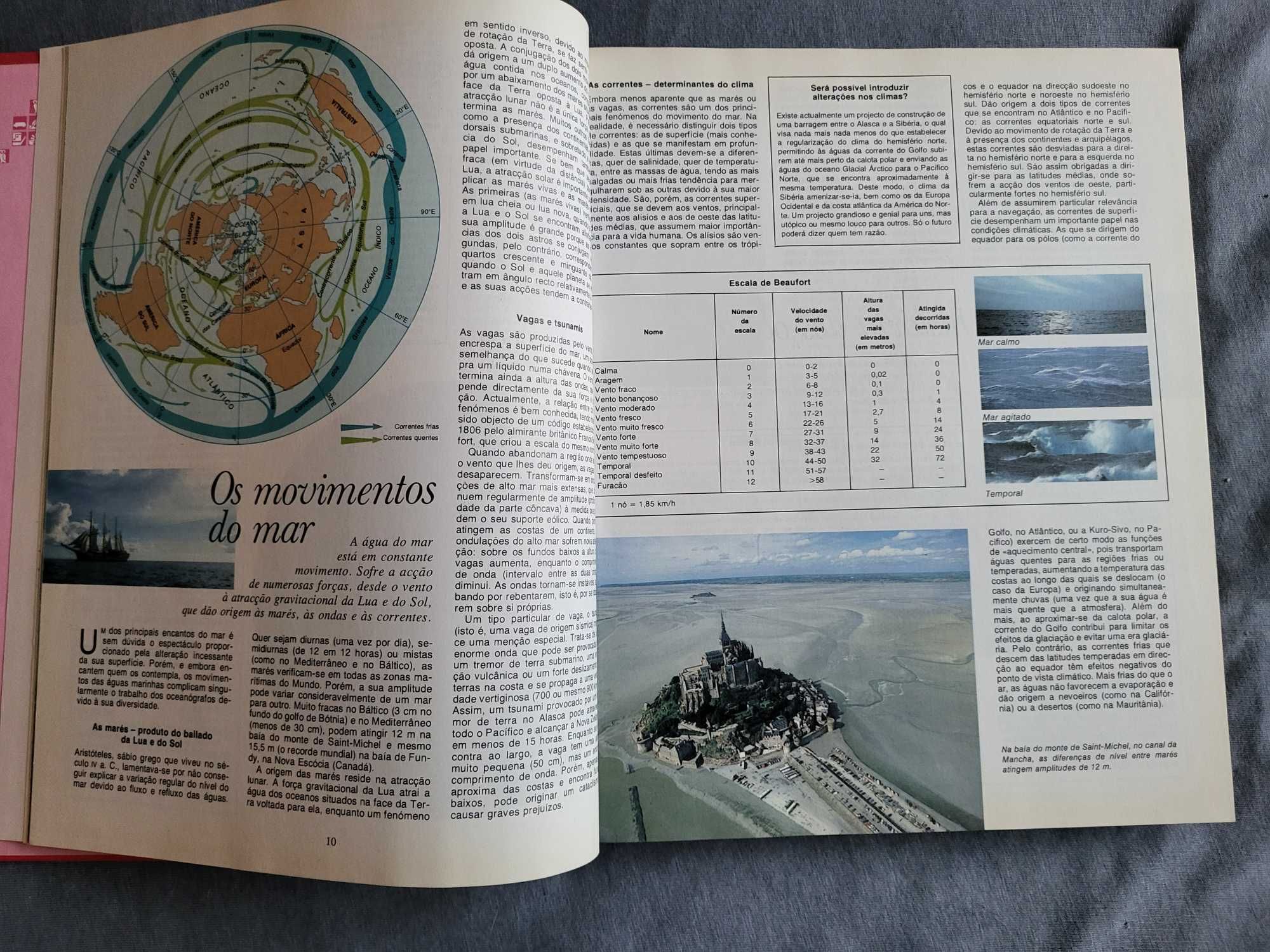 O Livro da Juventude