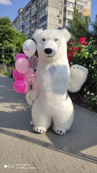 Привітання від ведмедика Аніматори Мішка Мишка поздравление Запорожье