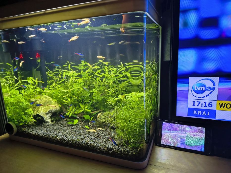 Designerskie oryginalne białe akwarium profilowane 50L LED INVITAL!