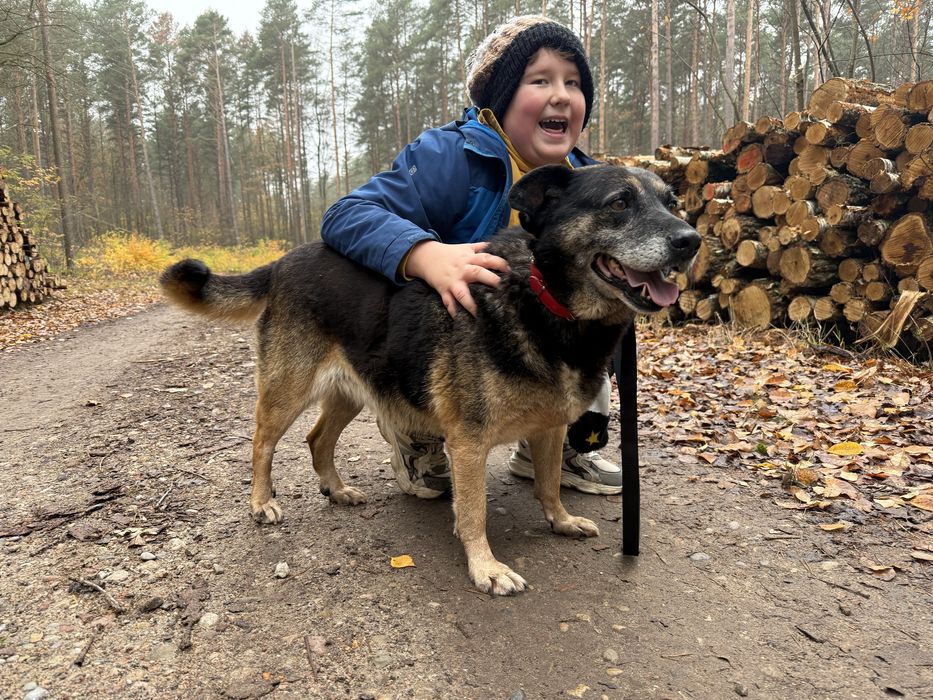 Narnia – zapomniana dama, która czeka na swój cud