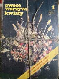 Owoce Warzywa Kwiaty dwutygodnik z lat 1979 - 1984