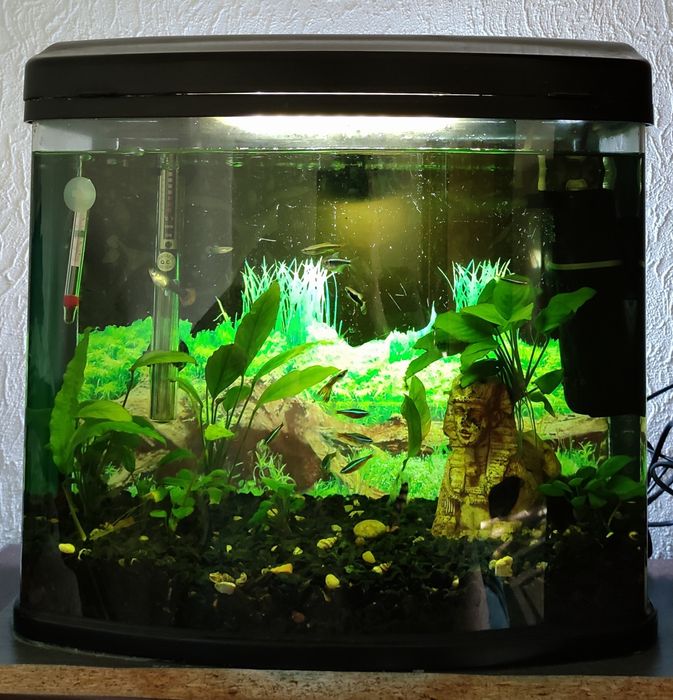 Овальный аквариум без швов на 36л