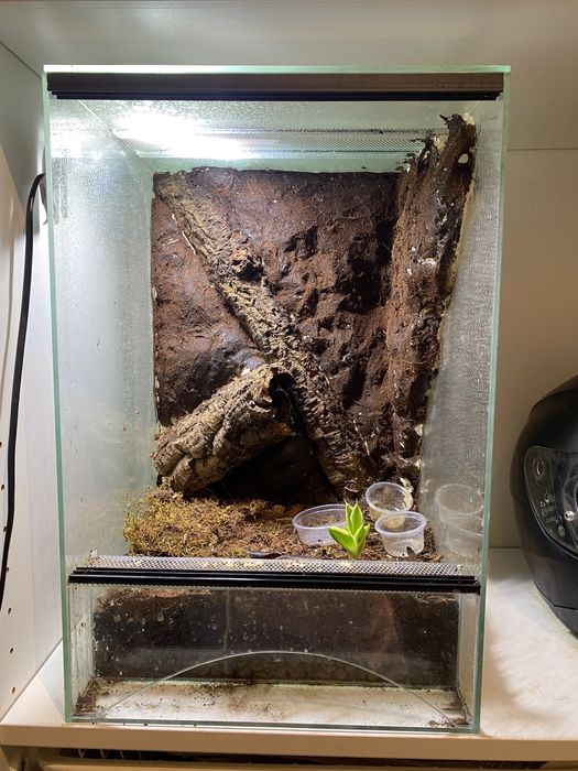 Terrarium 30x30x45