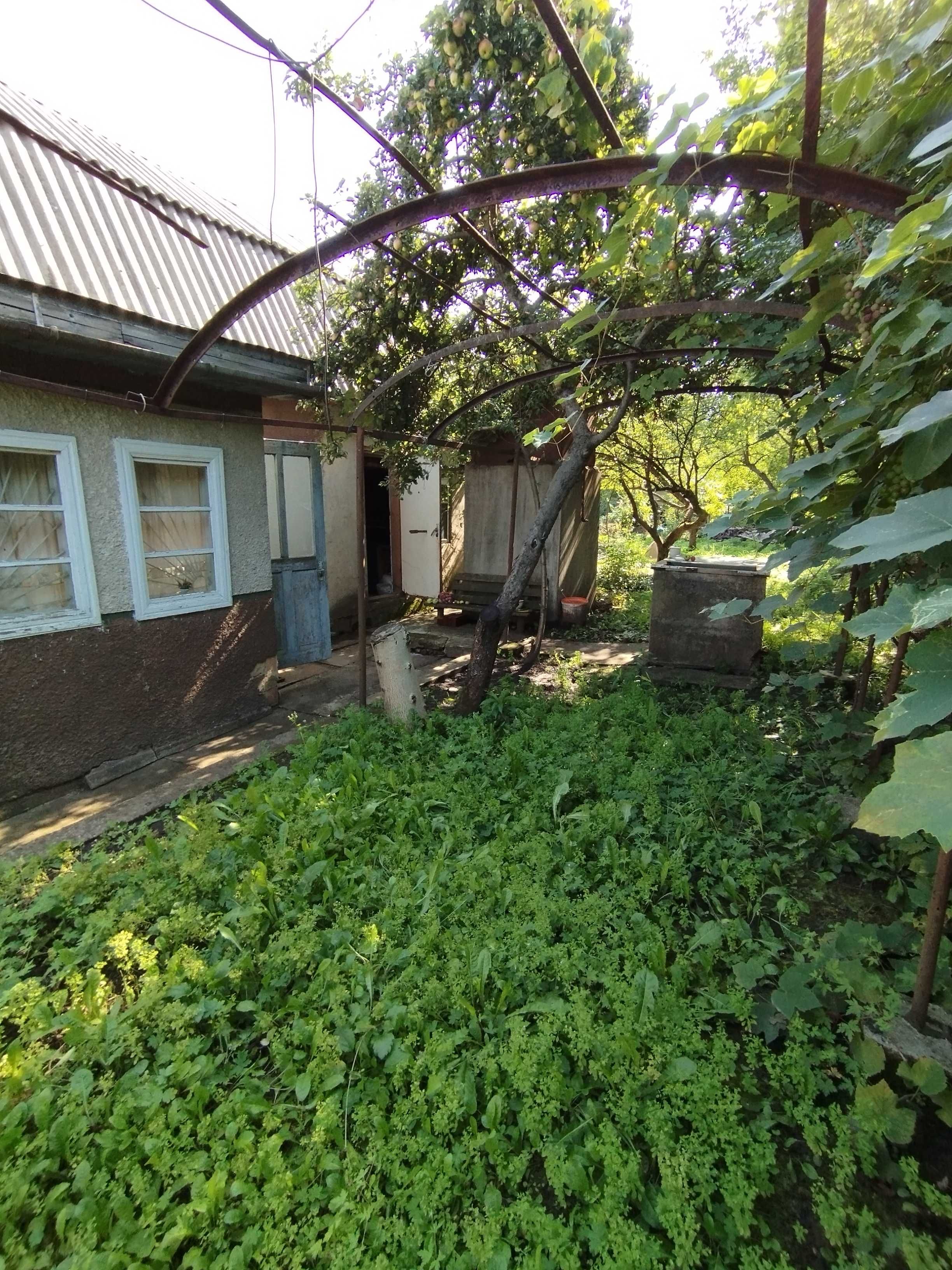 Продам дачну ділянку з невеликим будинком