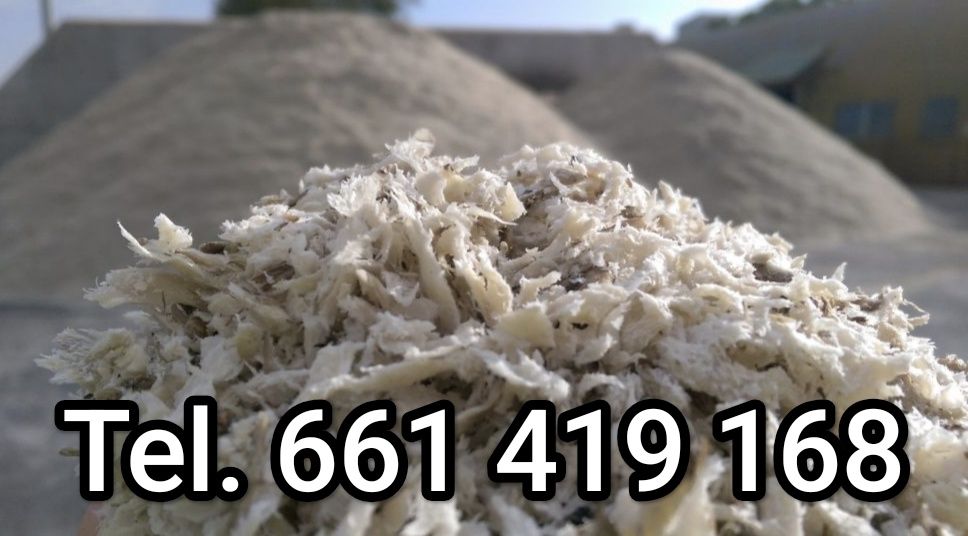 Wysłodki buraczane świeże