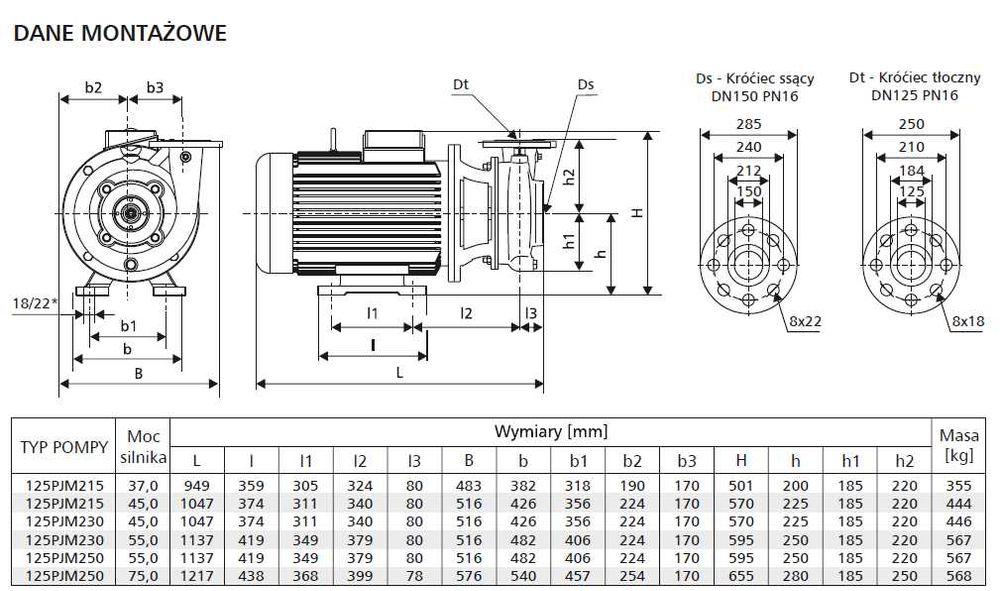 Pompa do wody LFP 125 PJM 215 z silnikiem 45 kW 2900 obr/min