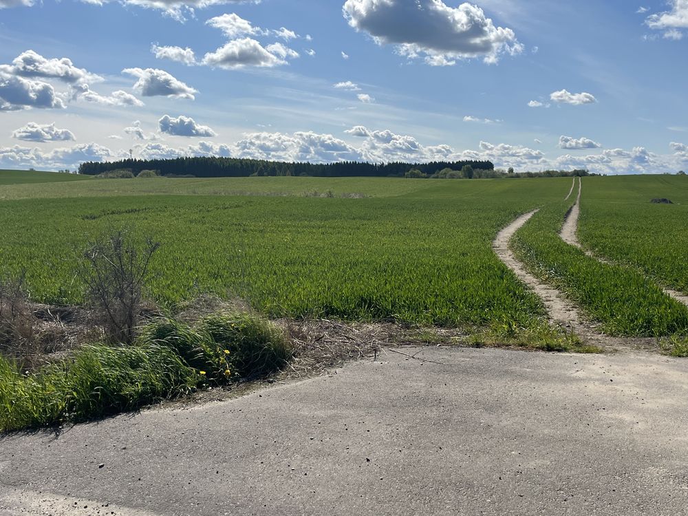 Sprzedam działkę rolno - budowlaną Zalewo