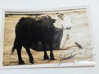 Foto antiga com dedicatória.