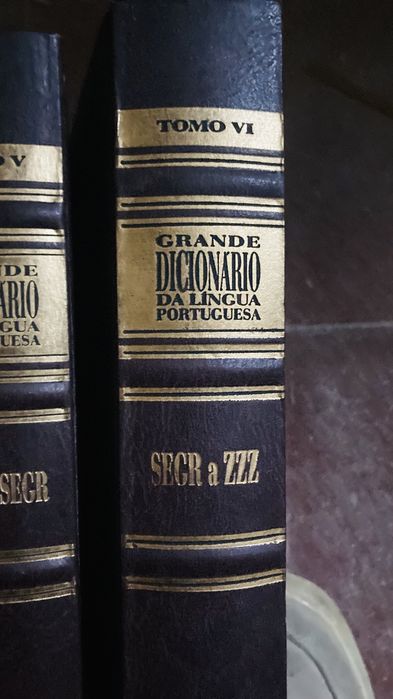 Dicionario da lingua portuguesa