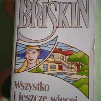 Wszystko i jeszcze więcej - Jacqueline Briskin