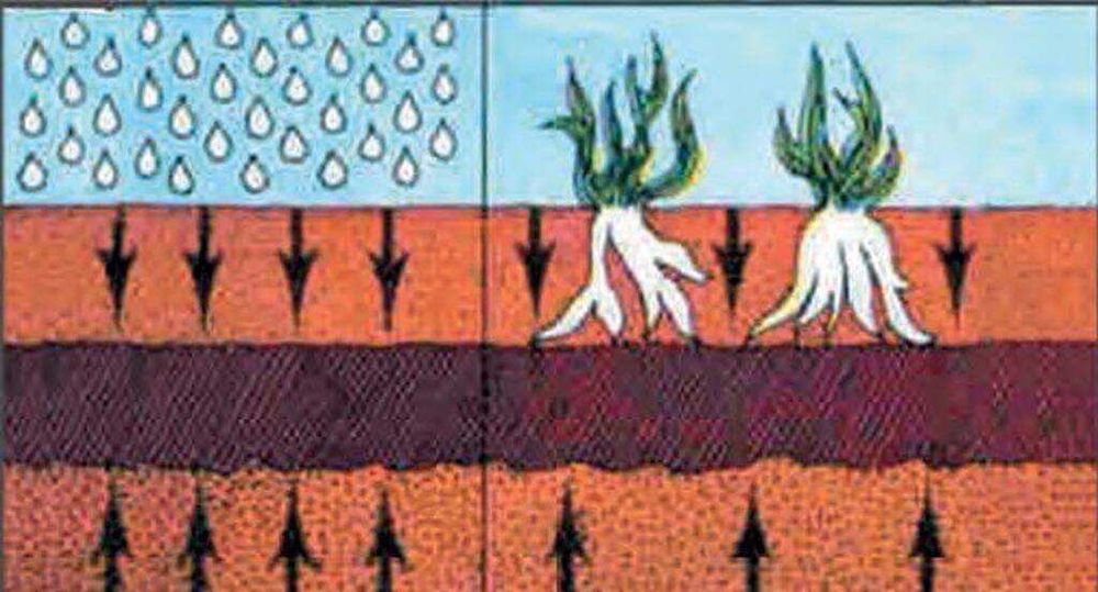 Łopata mechaniczna V30B Szpadel Mechaniczny