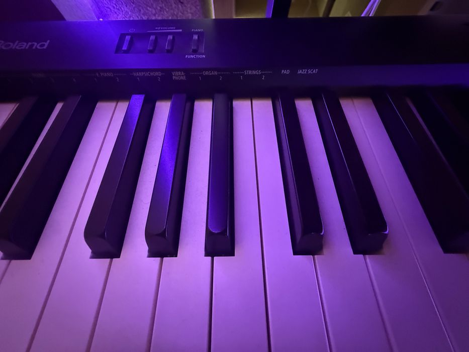 Roland FP-10 como novo