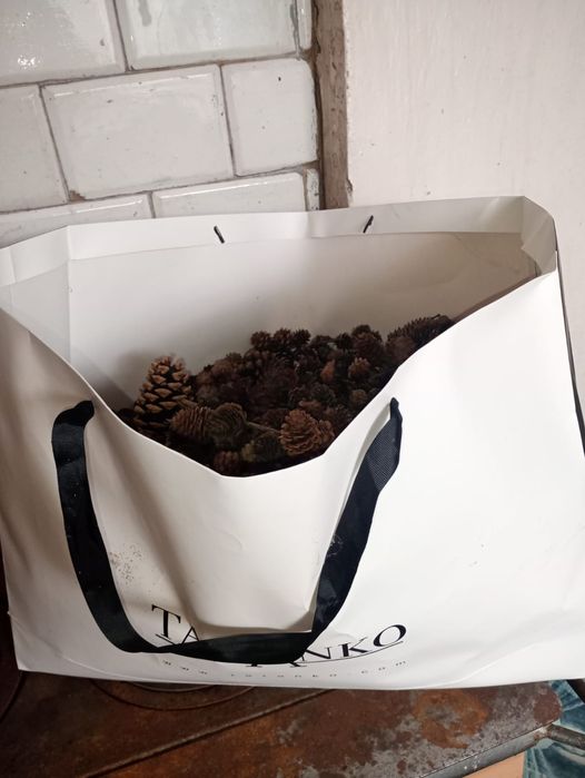 Szyszki z modrzewia do ozdoby