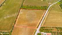 Terreno  para venda