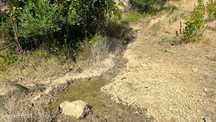 Terreno  para venda