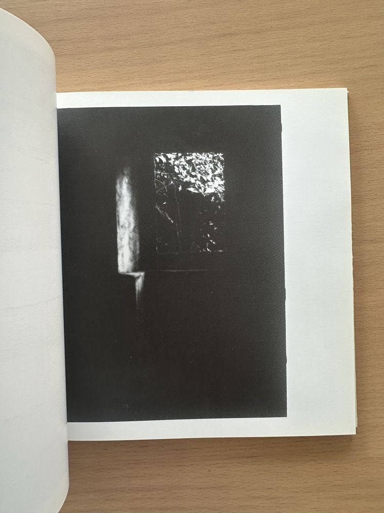 Livro “O Doce Lugar dos Pássaros”