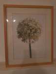 Conjunto de 3 quadros