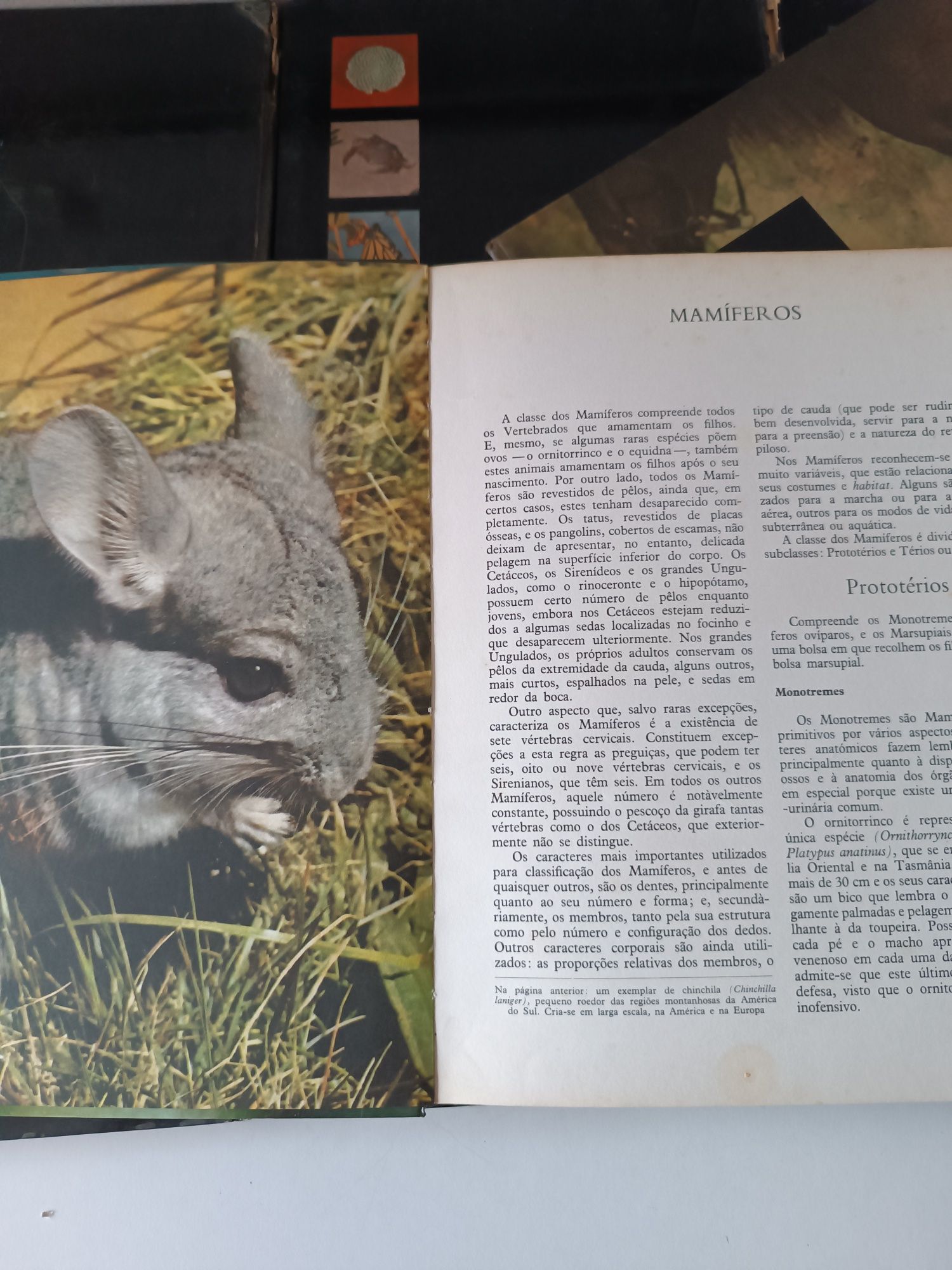 8 Enciclopedias do Reino Animal - Maurice Burton
