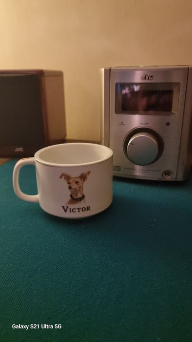 Victor,чашка фарфор