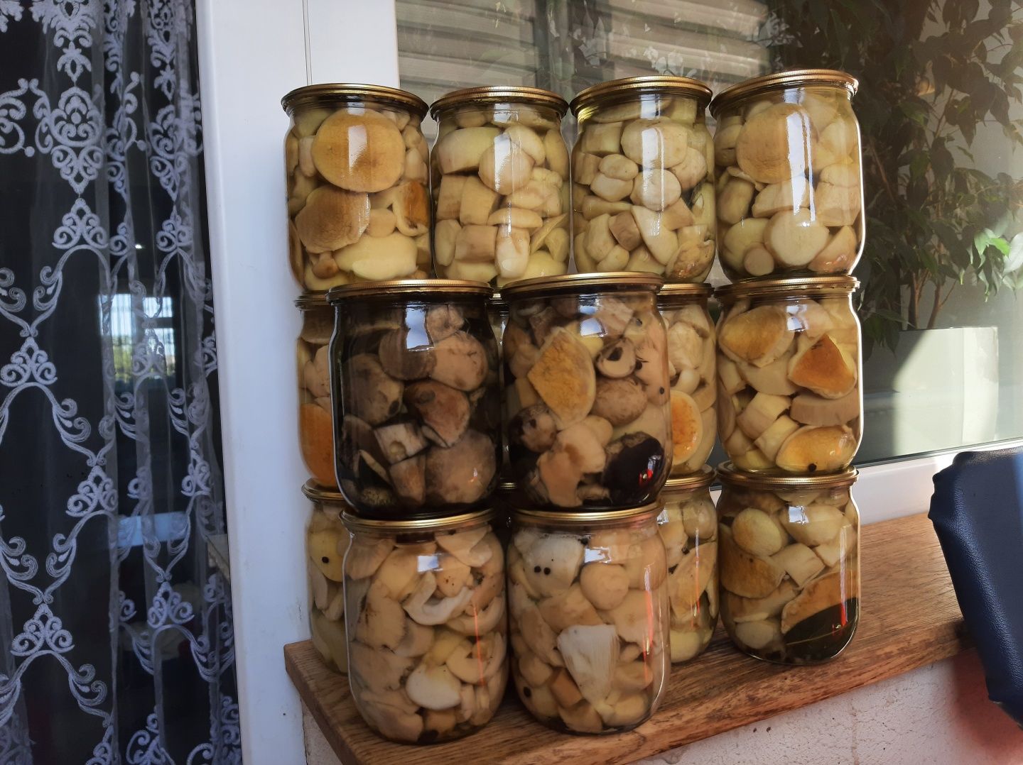 Гриби білі мариновані свіженьки