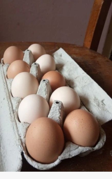 Sprzedam wiejskie jajka