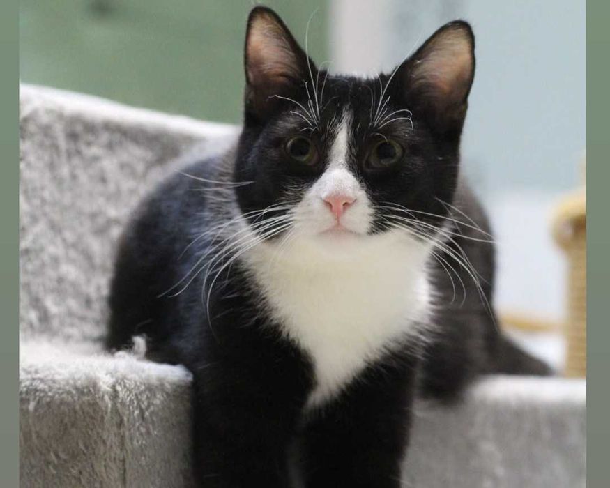 JULEK czeka - może właśnie na Ciebie?