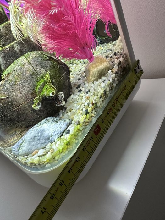 Akwarium wraz z zawaroscią