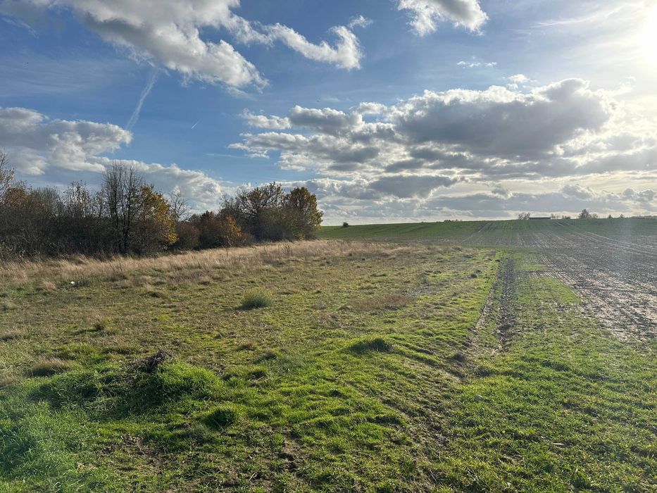Działka z linią brzegową rzeki Grabia